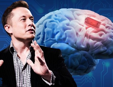 نورالینک ایلان ماسک ۳۱ اکتبر از پیشرفت ایمپلنت مغزی خود رونمایی می کند